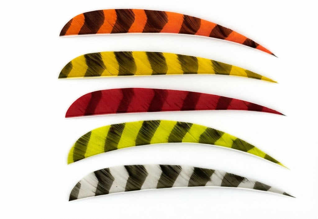 TrueFlight Parabolic Cut Feathers - 5 inch - Barred Color