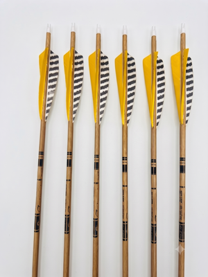 Gold Tip Traditional Arrows With Inserts