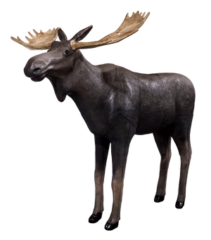 Real Wild 3D Yukon Moose