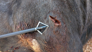 Black Hornet Ser-Razor 4-Blade Broadhead 3-Pack