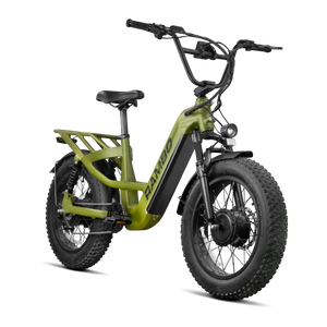 Revolt AWD Step Thru Bike