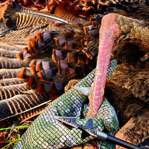 TURKEY SPURS